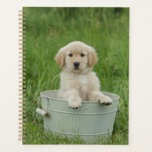 Golden Retriever In Wash Basin Planner
