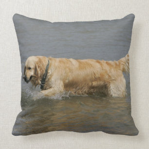 Golden Retriever in Water Cushion