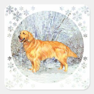 Golden Retriever in Wintertime Square Sticker