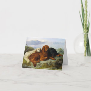 Golden Retriever, Irish and Gordon Setter Notecard