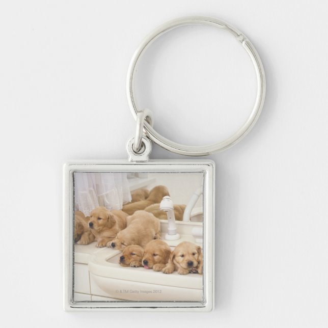 Golden Retriever; is a relatively modern and 2 Key Ring (Front)