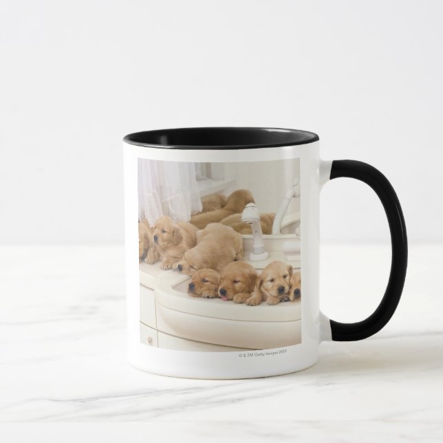 Golden Retriever; is a relatively modern and 2 Mug (Right)