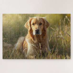 Golden Retriever Jigsaw Puzzle