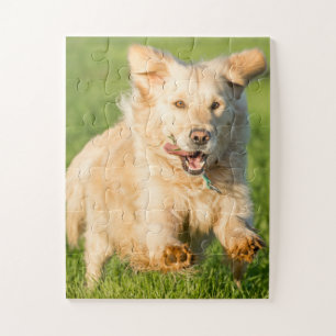 Golden Retriever Jigsaw Puzzle