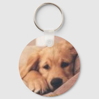 golden retriever key ring