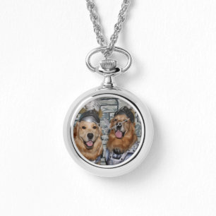 Golden Retriever Knights Watch