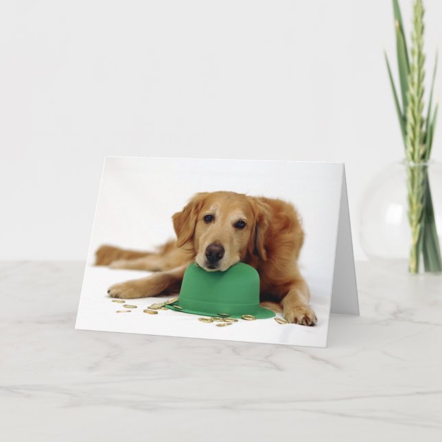Golden Retriever Leprechaun Card (Front)