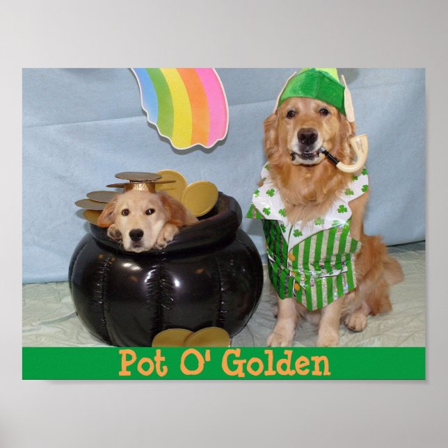 Golden Retriever Leprechaun's Pot of Golden Poster (Front)