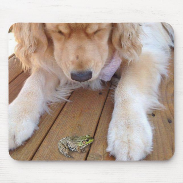 Golden Retriever Looking at a Frog Mouse Pad (Front)