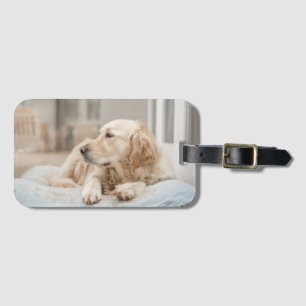 Golden Retriever Luggage Tag