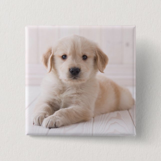 Golden Retriever Lying Down 15 Cm Square Badge (Front)