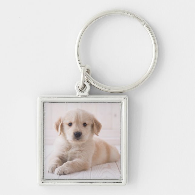 Golden Retriever Lying Down Key Ring (Front)