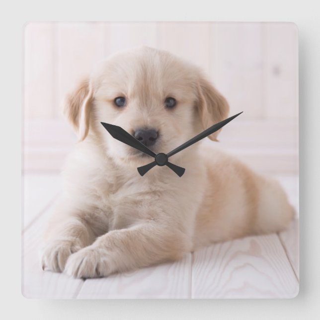 Golden Retriever Lying Down Square Wall Clock (Front)