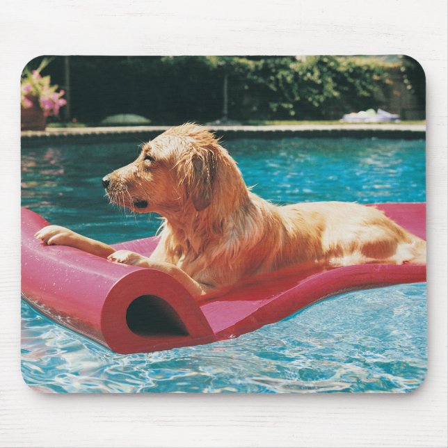Golden Retriever Lying on an Air Bed in a Mouse Pad (Front)