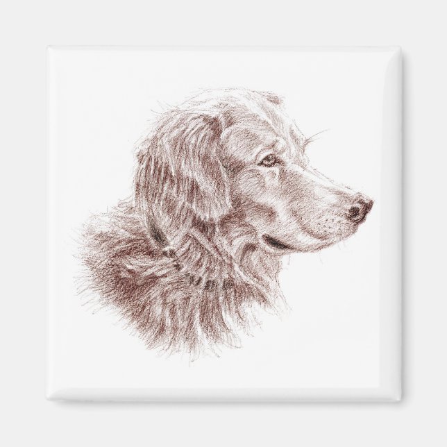Golden Retriever Magnet (Front)