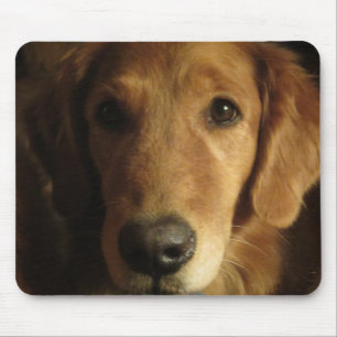Golden Retriever Maia Up Close Mousepad