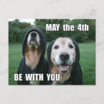 Golden Retriever May the 4th Be With You Parody Postcard<br><div class="desc">This parody postcard features a photograph of two golden retriever dogs dressed in sci-fi costumes,  with the saying,  "May the 4th Be With You." Customisable text on the back reads,  "Enjoy the day,  you will."</div>