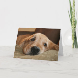 Golden Retriever Miss You Greeting Card