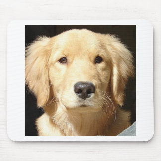 Golden Retriever Mouse Pad