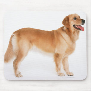 Golden Retriever Mouse Pad