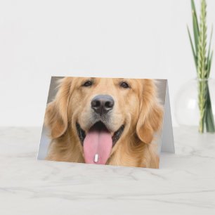 Golden Retriever Old Age Birthday Humour Card