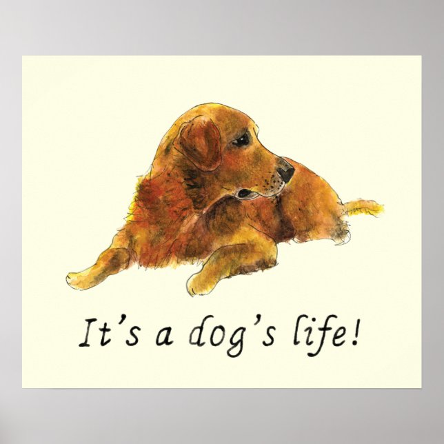 Golden Retriever Painting Funny Dog Slogan Humour Poster (Front)