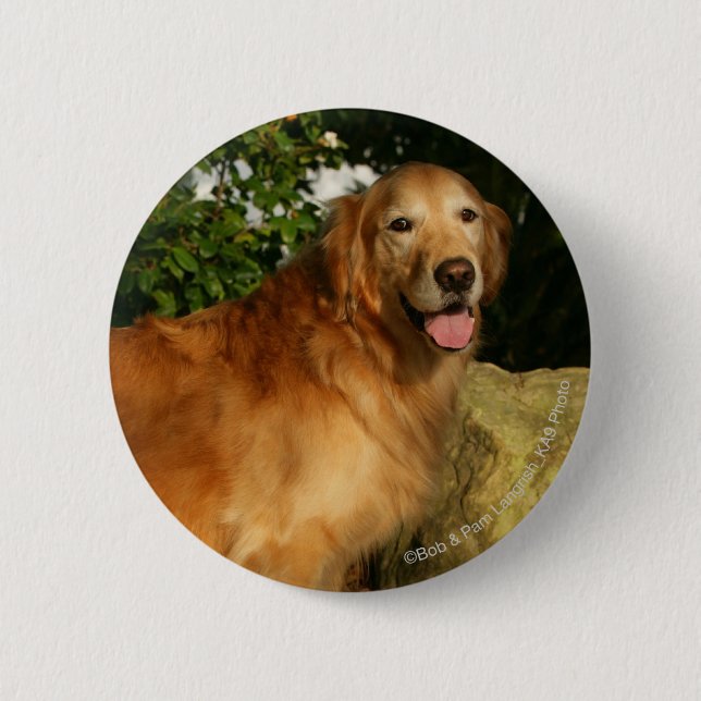 Golden Retriever Panting 6 Cm Round Badge (Front)