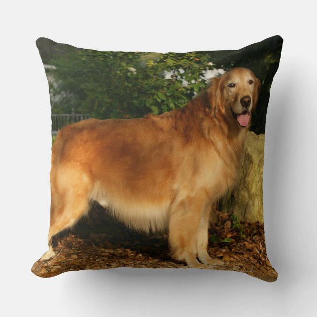 Golden Retriever Panting Cushion (Front)