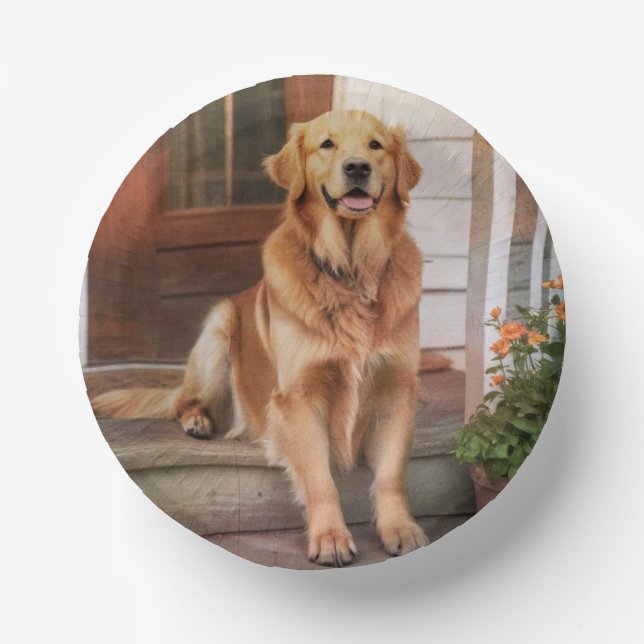 Golden Retriever  Paper Plate (Front)