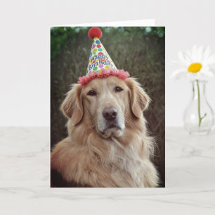 Golden Retriever & Party Hat with Happy Birthday  Card