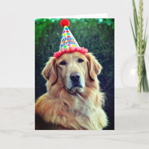 Golden Retriever & Party Hat with Happy Birthday  Card