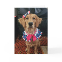 Golden Retriever patriotic, 4th of July greetings