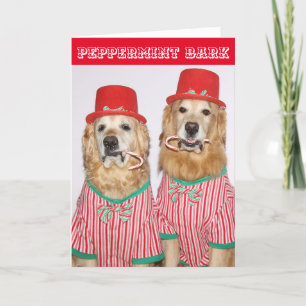 Golden Retriever Peppermint Bark Card