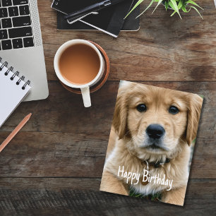 Golden Retriever Pet Custom Pet Photo Birthday Postcard