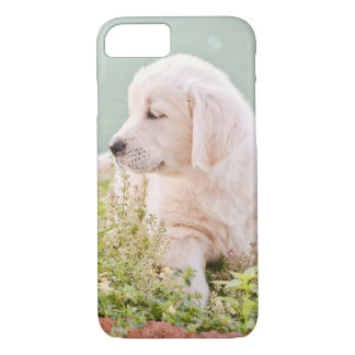 Golden retriever Phone Case