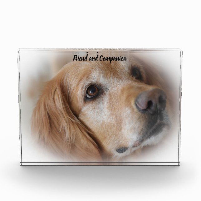 Golden Retriever. Photo Block (Front)