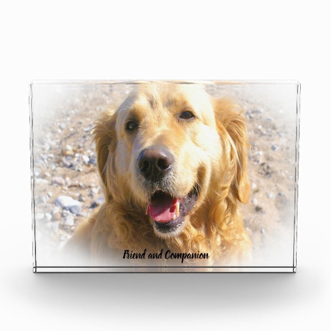 Golden Retriever. Photo Block (Front)