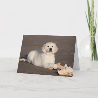 Golden Retriever Photo Card