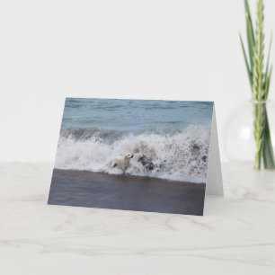 Golden Retriever Photo Card