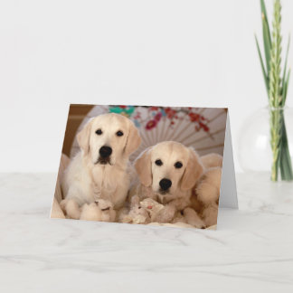 Golden Retriever Photo Card