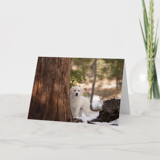 Golden Retriever Photo Card (Front)