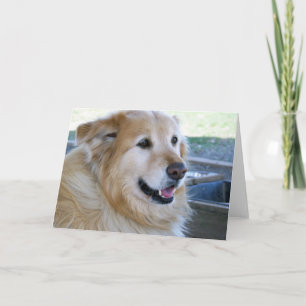 Golden Retriever Photo Card