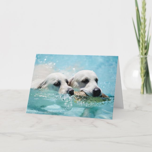 Golden Retriever Photo Card (Front)