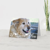 Golden Retriever Photo Image I Love You