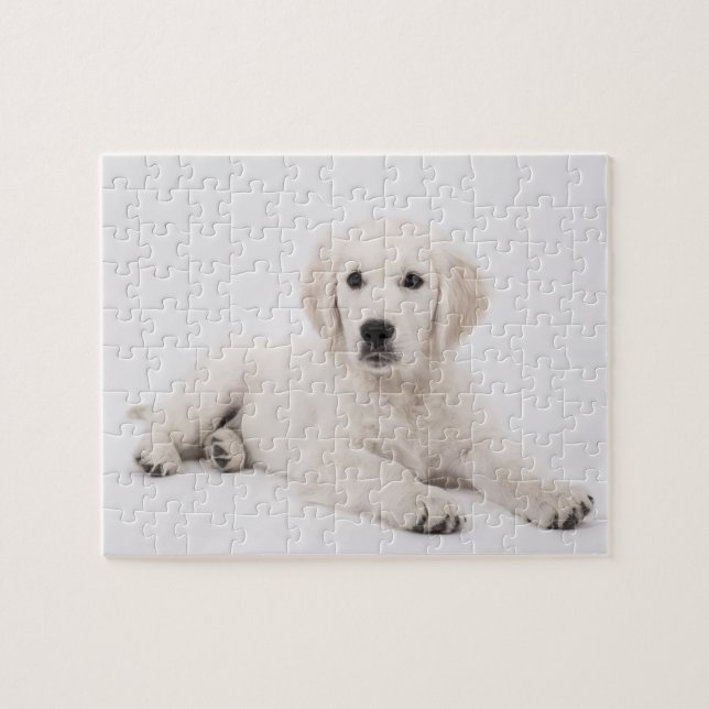 Golden Retriever Photo Jigsaw Puzzle (Horizontal)