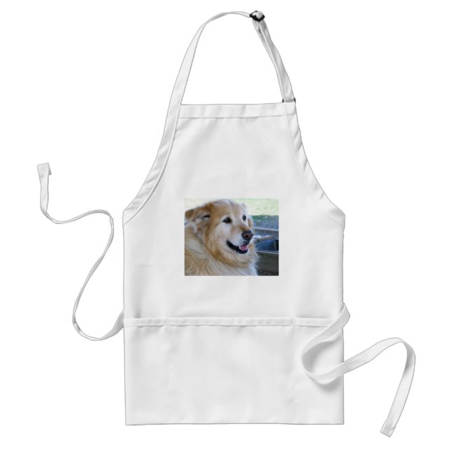 Golden Retriever Photo Standard Apron (Front)