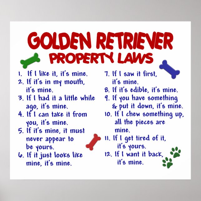 GOLDEN RETRIEVER PL2 POSTER (Front)