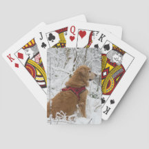 Golden Retriever Playing Cards