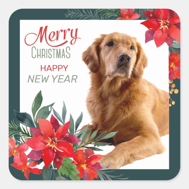 Golden Retriever Poinsettia Bouquet Christmas Square Sticker (Front)