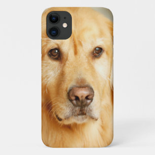 Golden Retriever Portrait Case-Mate iPhone Case